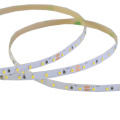 SMD2216 120LEDs/m 12V/24V 5mm Super brightness LED Strip with CE, UL, RoHS and ISO9001 Certification